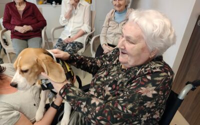 V LEDNU JSME TVOŘILI A&nbsp;ROZHODNĚ SE NENUDILI!