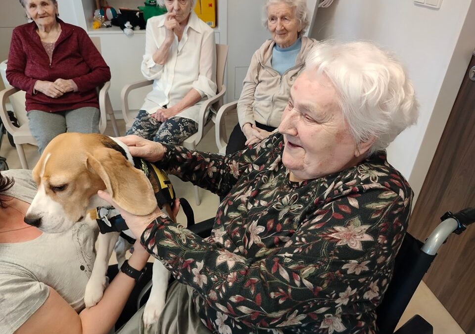 V LEDNU JSME TVOŘILI A&nbsp;ROZHODNĚ SE NENUDILI!